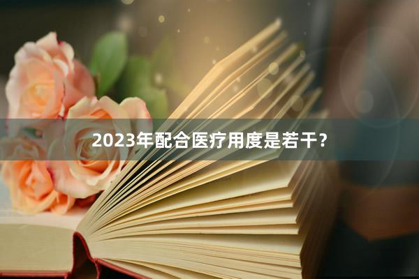 2023年配合医疗用度是若干?